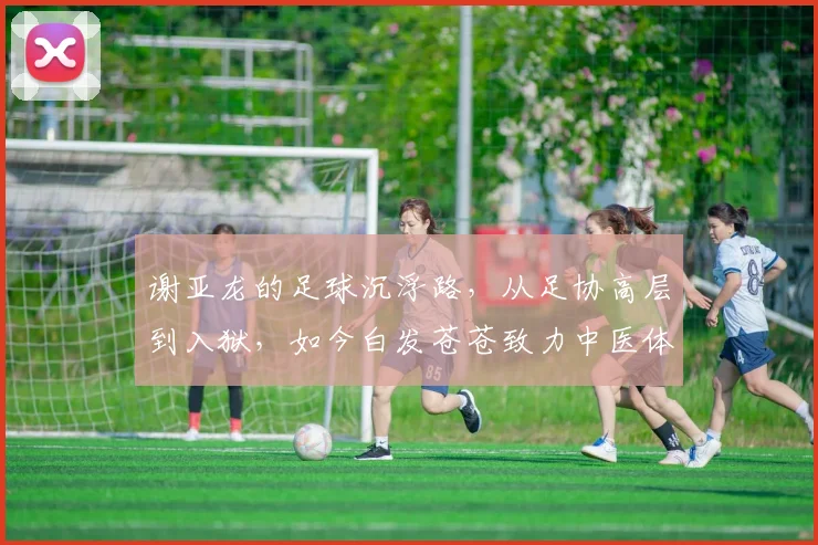 谢亚龙的足球沉浮路，从足协高层到入狱，如今白发苍苍致力中医体育康复
