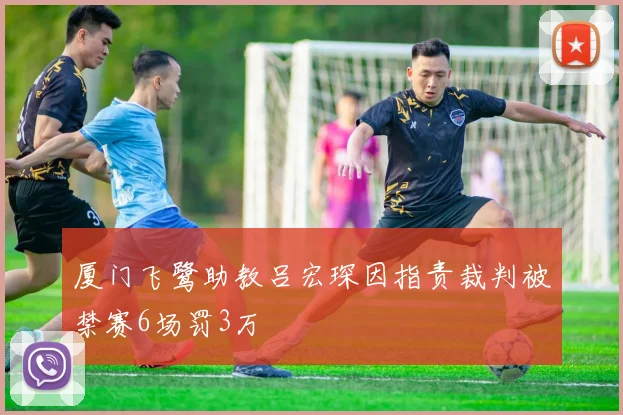 厦门飞鹭助教吕宏琛因指责裁判被禁赛6场罚3万
